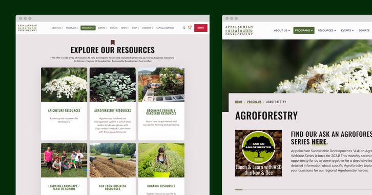 Screenshot of Appalachian Sustainable Development Website project
