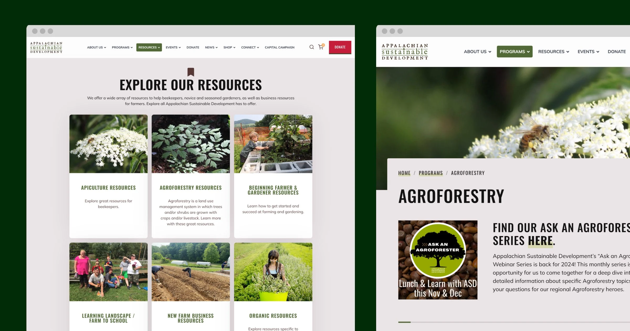 The Appalachian Sustainable Development Website website shown on desktop and mobile screens